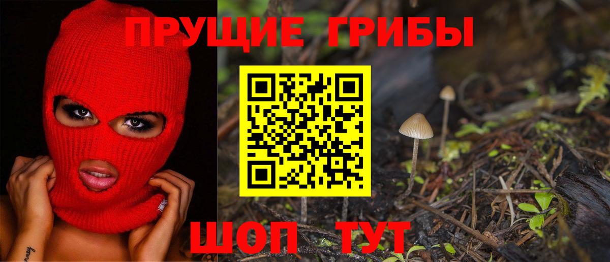 Галлюциногенные грибы GOLDEN TEACHER  Вход с VPN  Псилоцибиновые грибы мицелий  наркота  Медногорск 